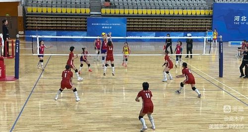 中甲：终止连败 青岛红狮队客场1-1战平佛山南狮队