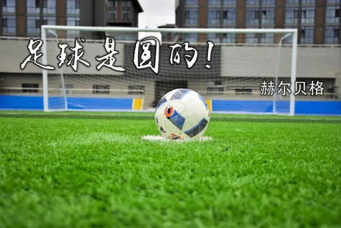 免费腾讯nba直播视频在线观看 现场画面