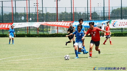 中超：赛季双杀 成都蓉城队2-0梅州客家队
