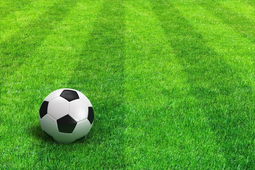 英超：位列第二 利物浦队客场2-2阿森纳队