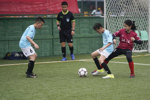 意甲：恰尔汗奥卢双响 国际米兰2-0都灵